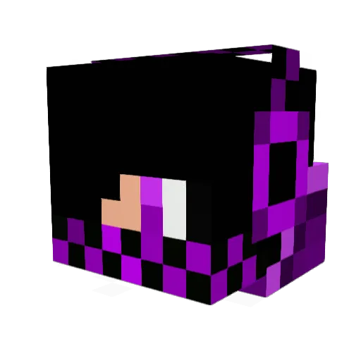 Braydon0812 Minecraft avatar head, 3D render