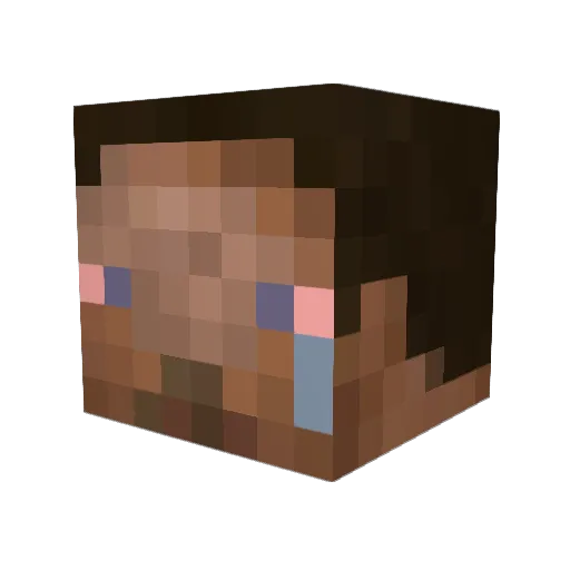 Brayless Minecraft avatar head, 3D render