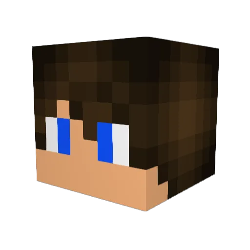 Brayley90 Minecraft avatar head, 3D render