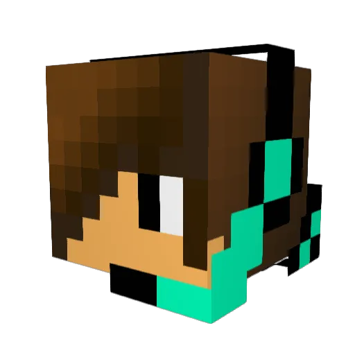 Brayton1105 Minecraft avatar head, 3D render