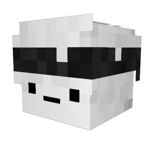 Brayx1 Minecraft avatar head, 3D render