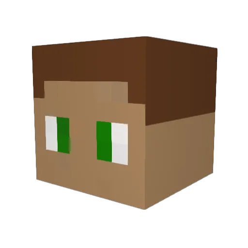 BrazilLegal Minecraft avatar head, 3D render