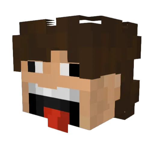 BrazilianBeast Minecraft avatar head, 3D render