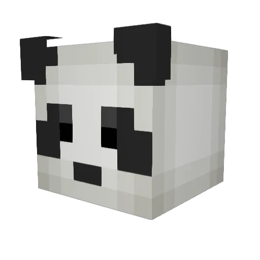 Brdly12 Minecraft avatar head, 3D render