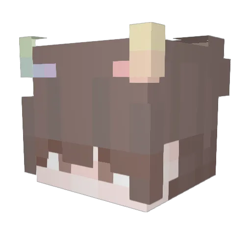 Bre4k1t Minecraft avatar head, 3D render