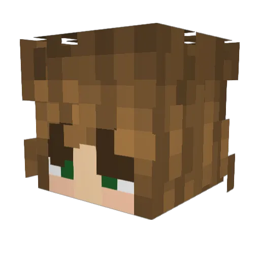 Bread1671 Minecraft avatar head, 3D render