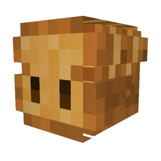 BreadAddict_ Minecraft avatar head, 3D render