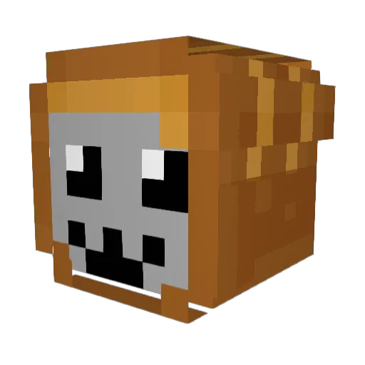 BreadCat_64 Minecraft avatar head, 3D render