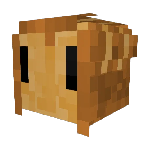 BreadDominator Minecraft avatar head, 3D render