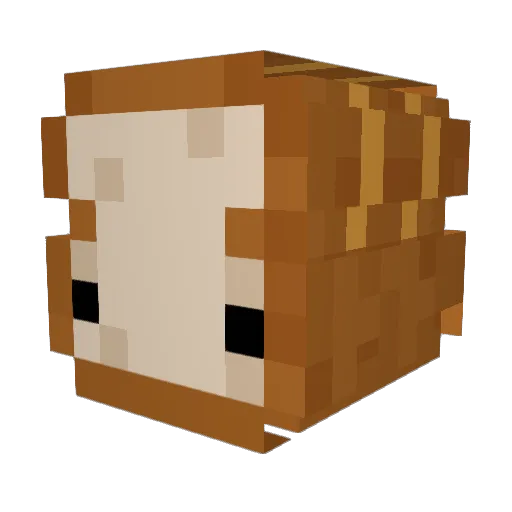 BreadKing7a8 Minecraft avatar head, 3D render