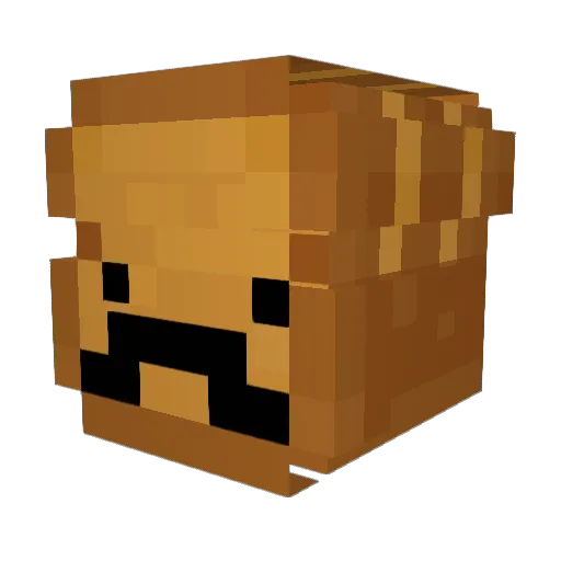 BreadSlayer62 Minecraft avatar head, 3D render