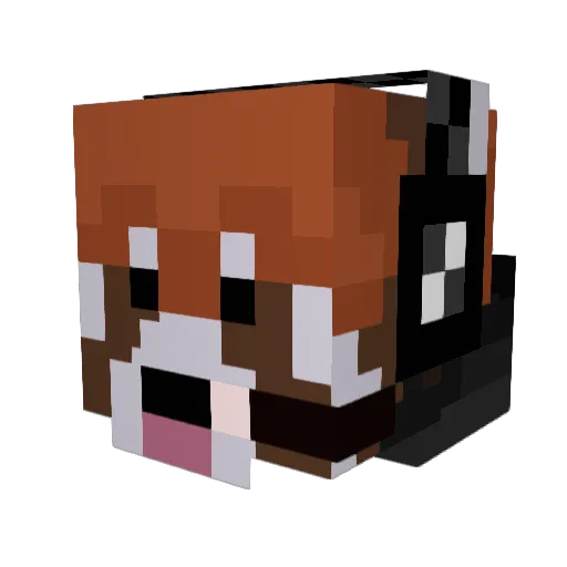 Bread_Panda1206 Minecraft avatar head, 3D render