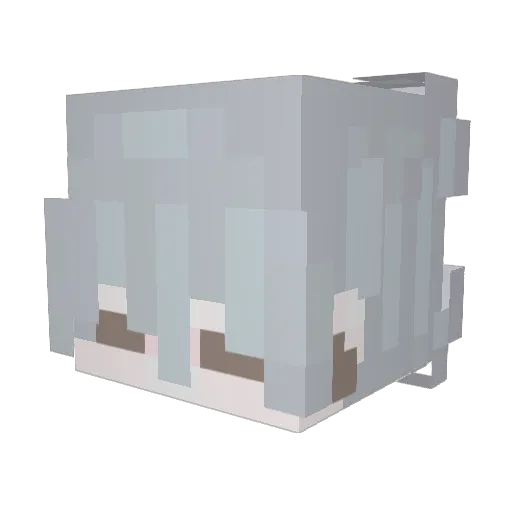 Bread_Stamp Minecraft avatar head, 3D render