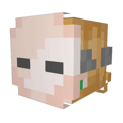 Bread_Thing Minecraft avatar head, 3D render