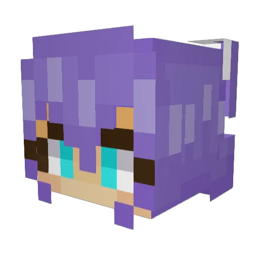 BreadisAmazing Minecraft avatar head, 3D render