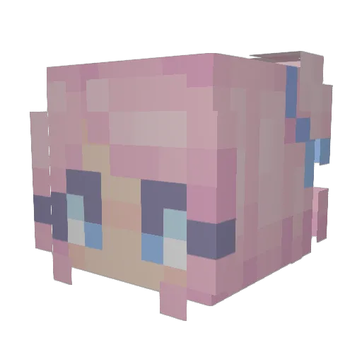 Breakfast_Turtle Minecraft avatar head, 3D render