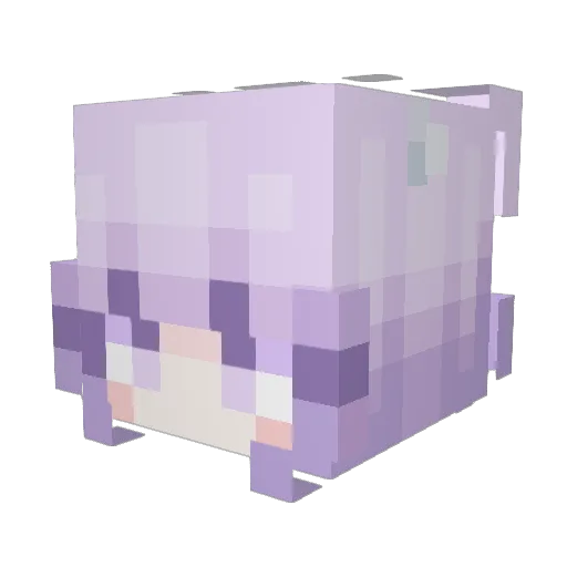 Breaktime1916 Minecraft avatar head, 3D render