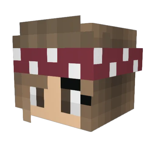 Breanne24 Minecraft avatar head, 3D render