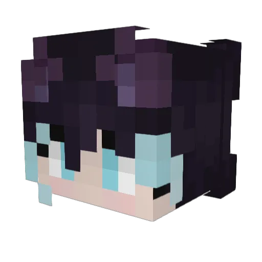 Brebbles Minecraft avatar head, 3D render