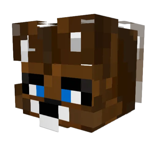 Brebs900 Minecraft avatar head, 3D render