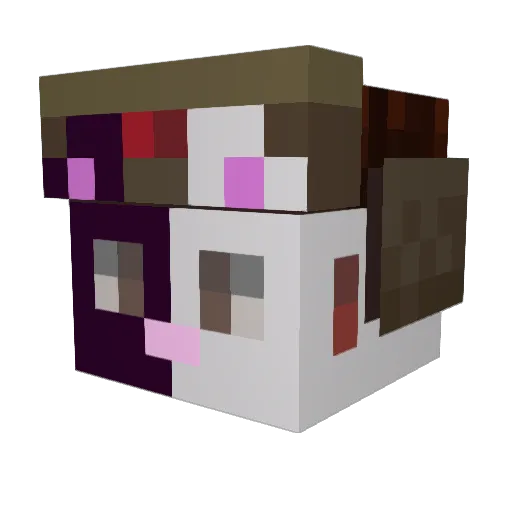 Brecken4 Minecraft avatar head, 3D render