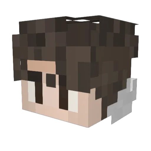 Bredw1n Minecraft avatar head, 3D render