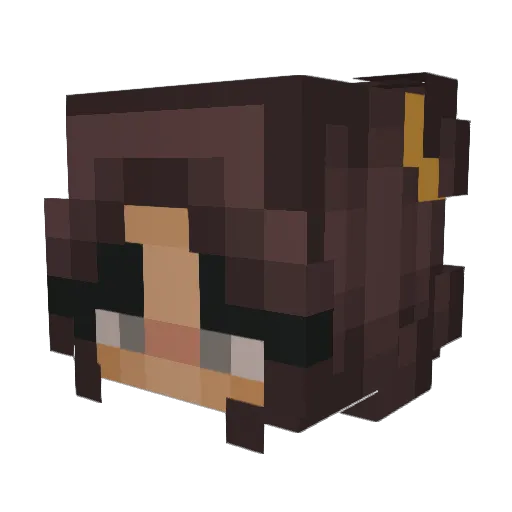 BreeAims Minecraft avatar head, 3D render