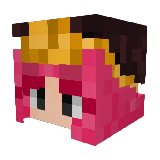 BreeBDubs Minecraft avatar head, 3D render