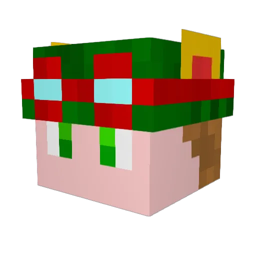 BreegullBlaster Minecraft avatar head, 3D render