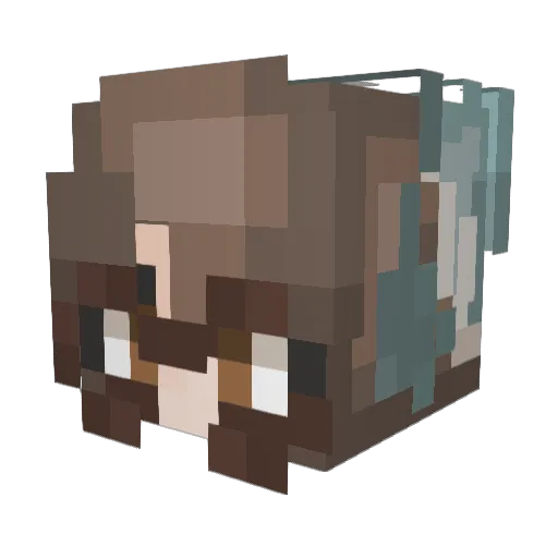 Breeisme Minecraft avatar head, 3D render