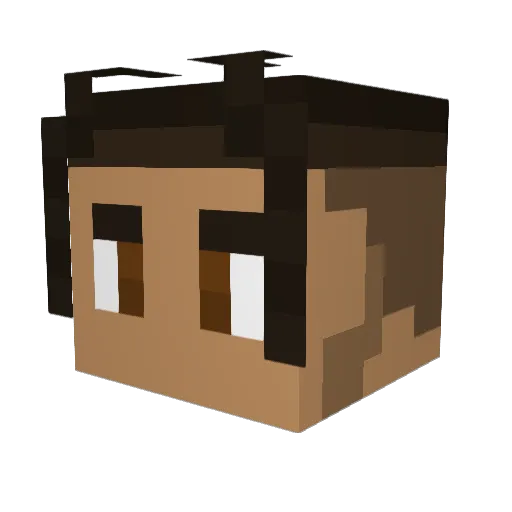 Breezy_22 Minecraft avatar head, 3D render