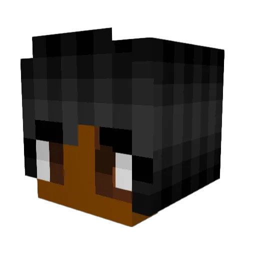 Breezyb127 Minecraft avatar head, 3D render