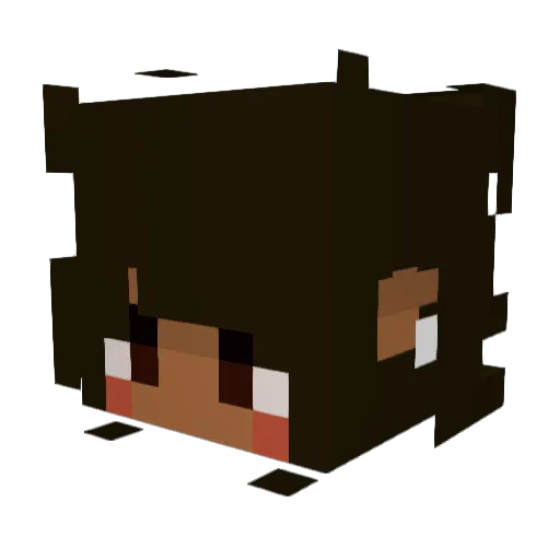 Breezypin Minecraft avatar head, 3D render