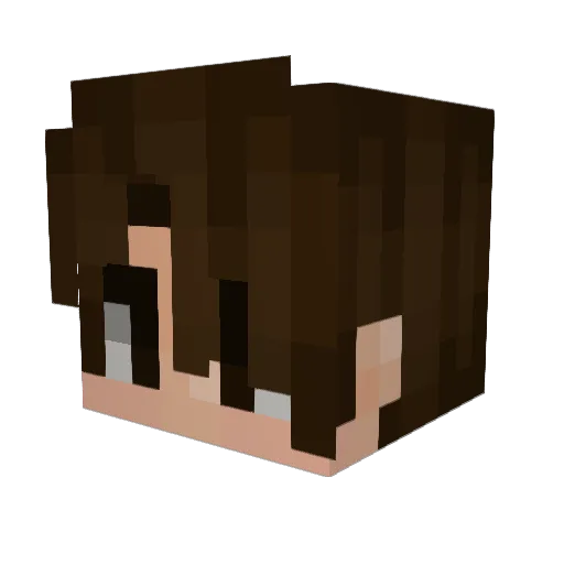 Breizh_Ace Minecraft avatar head, 3D render