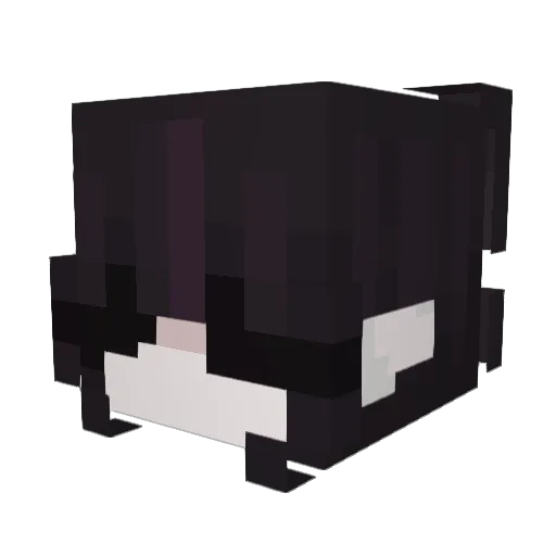 Breja Minecraft avatar head, 3D render