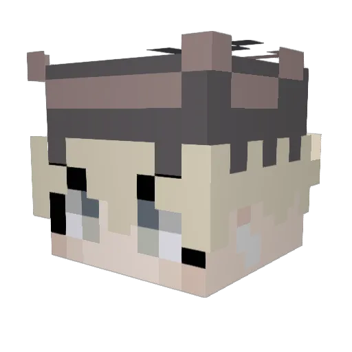 BrembleBee Minecraft avatar head, 3D render