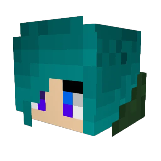 Bremma123 Minecraft avatar head, 3D render