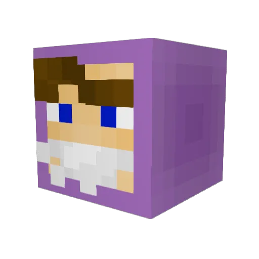 Bren_____ Minecraft avatar head, 3D render