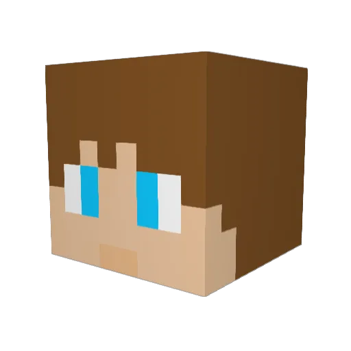Brendan2101 Minecraft avatar head, 3D render