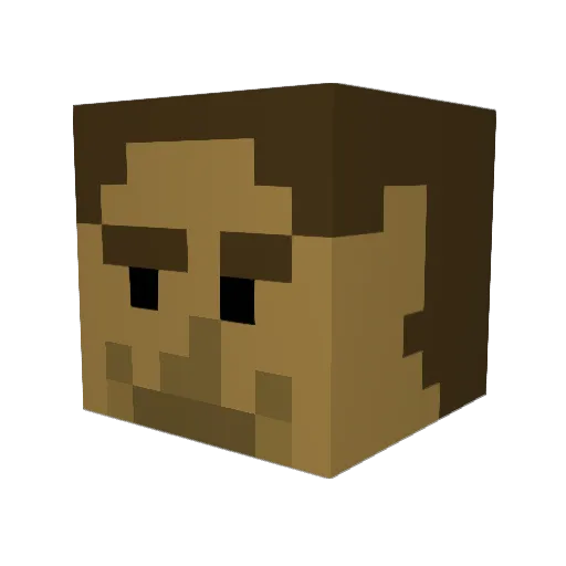 BrendanV14 Minecraft avatar head, 3D render
