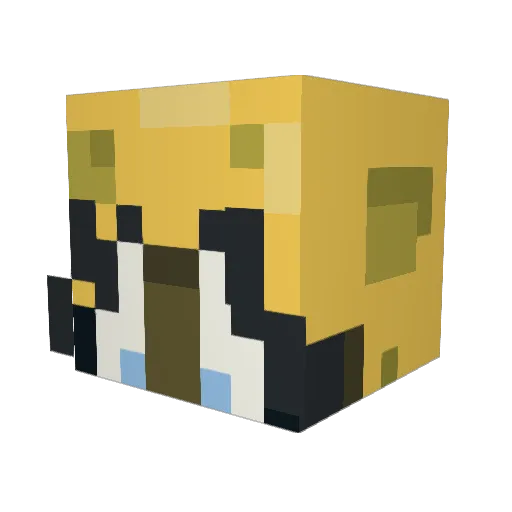 Brendangv Minecraft avatar head, 3D render