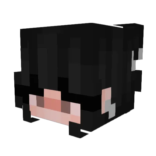 Brendiuuux Minecraft avatar head, 3D render