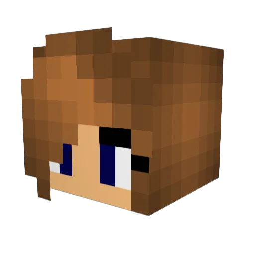 Brendler Minecraft avatar head, 3D render