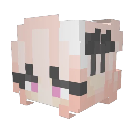 Brendog62 Minecraft avatar head, 3D render