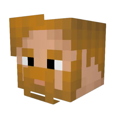 Brendrar Minecraft avatar head, 3D render