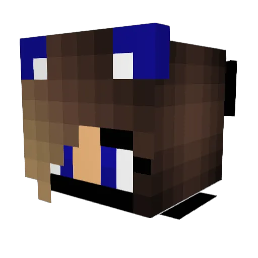 Brendy11 Minecraft avatar head, 3D render