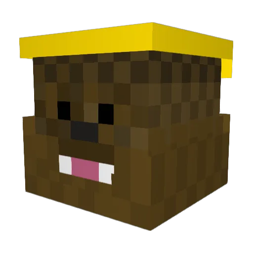 Brendyne123 Minecraft avatar head, 3D render