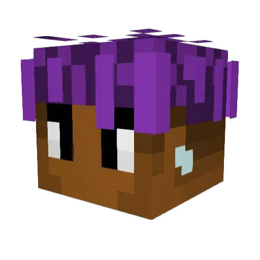 Brenjit Minecraft avatar head, 3D render