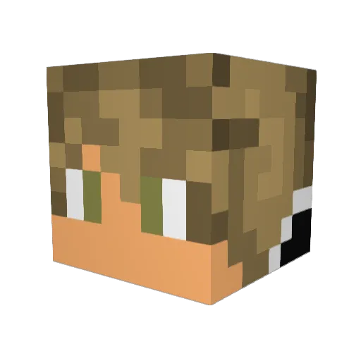 Brennan_09 Minecraft avatar head, 3D render