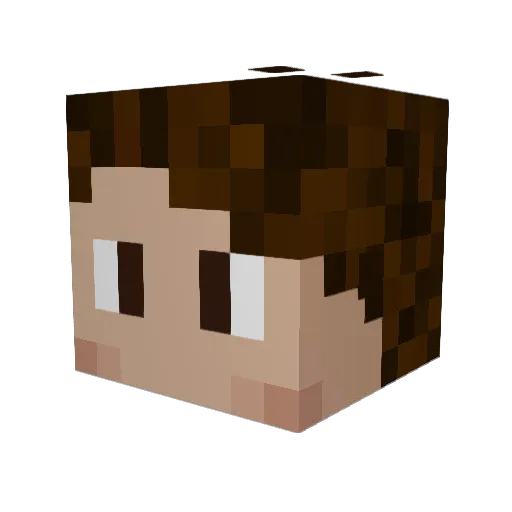 BrenoRosada Minecraft avatar head, 3D render